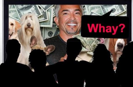 Dog Whisperer: come si costruisce un successo ovvero come siamo quotidianamente manipolati dalla tv