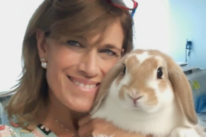 Medicina degli Animali Esotici — Ancona