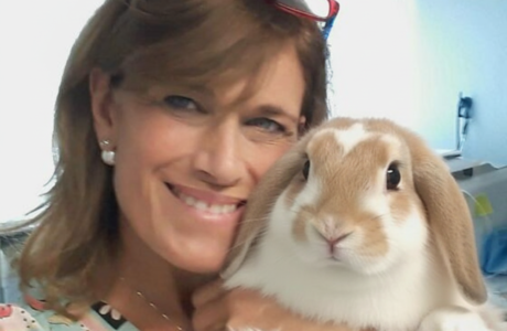 Medicina degli Animali Esotici — Ancona