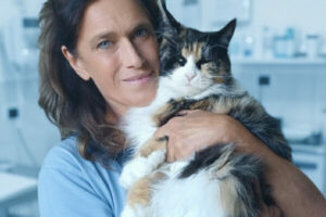 Cardiomiopatia ipertrofica felina (HCM): sintomi, diagnosi e trattamenti nei gatti