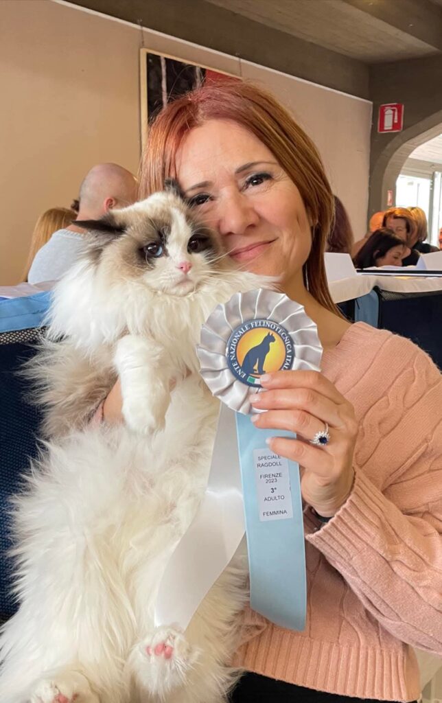 Allevatrice Ragdoll Cinzia Giambartolomei