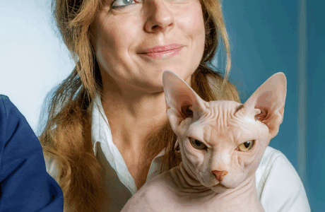 Le malattie più comuni nei gatti Sphynx