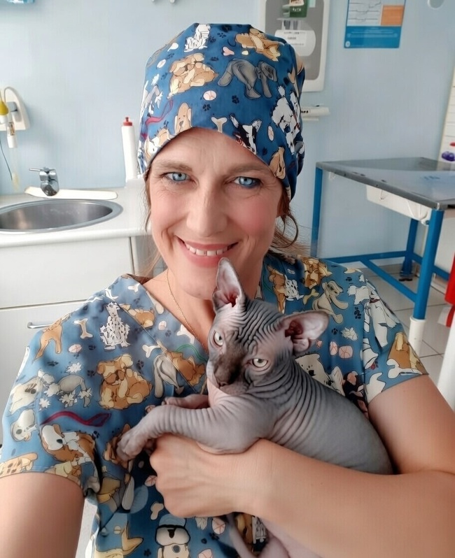 Sphynx Clinica Veterinaria Gaia Ancona Sud
